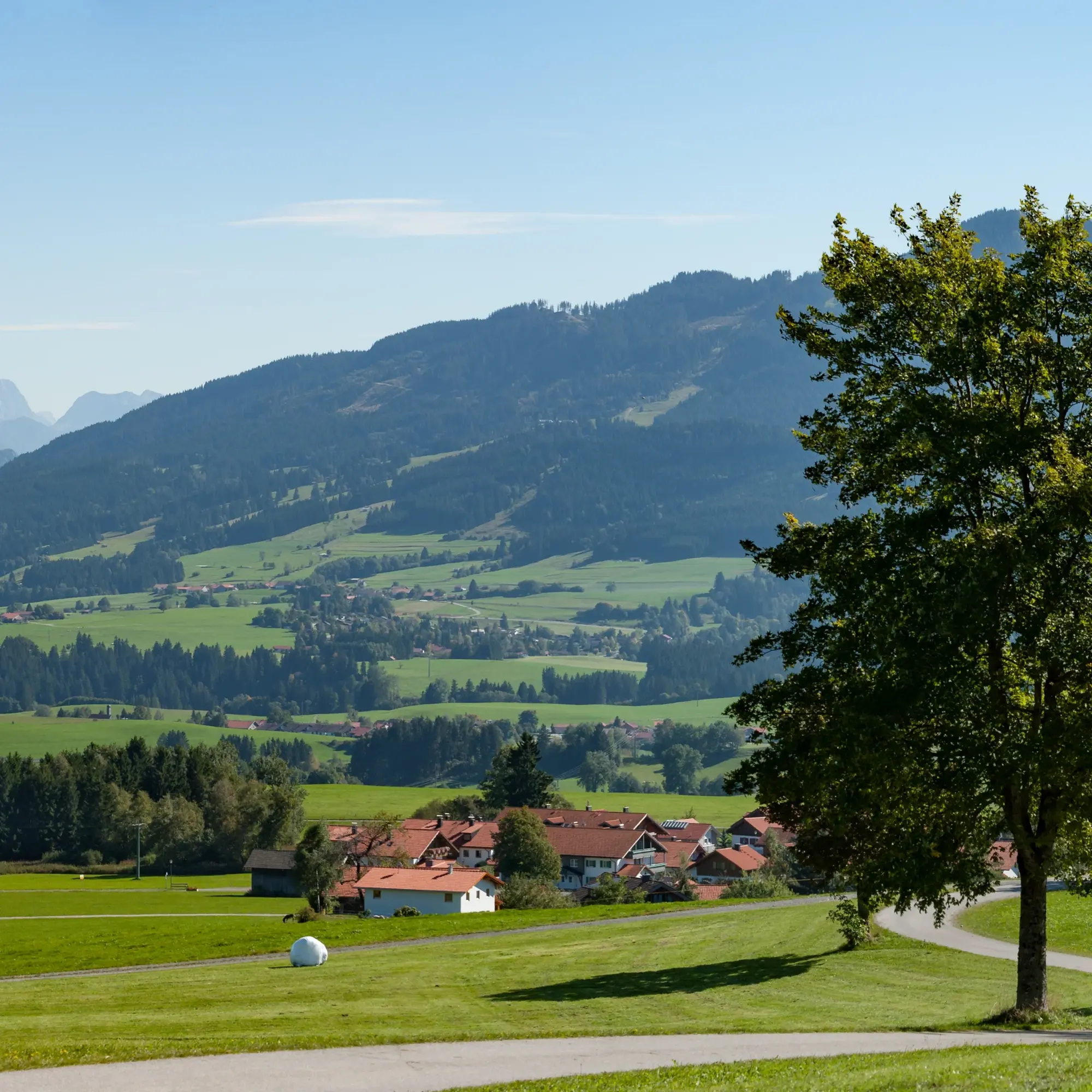 Allgäuer Voralpenidylle mit Bergpanorama